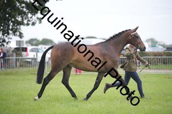 BBX-1733