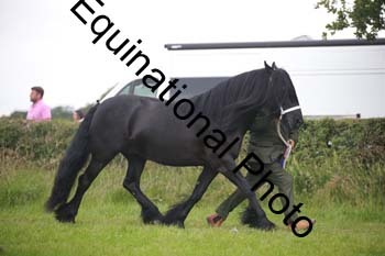 BBX-1762
