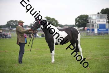BBX-1838