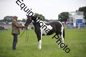 BBX-1842