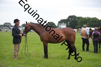 BBX-1869