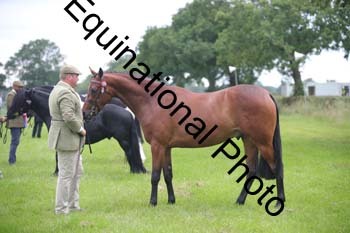 BBX-1875
