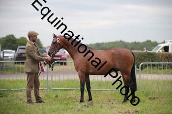 BBX-1879