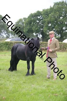 BBX-1890