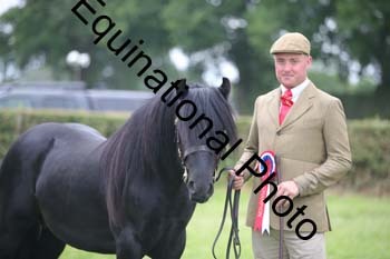 BBX-1895