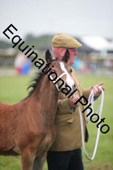 BBX-1908