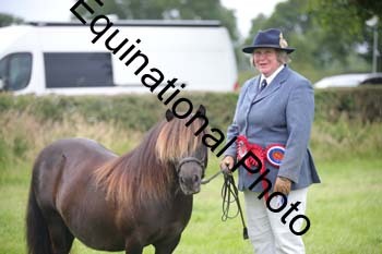 BBX-1938