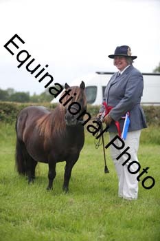 BBX-1940