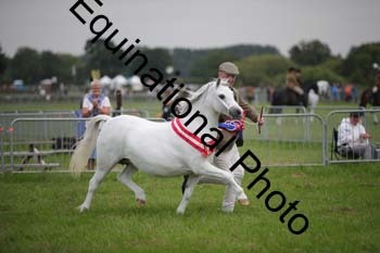 BBX-2011