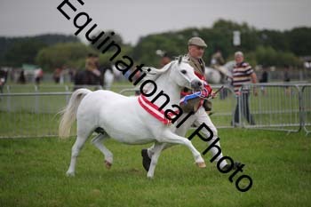 BBX-2012