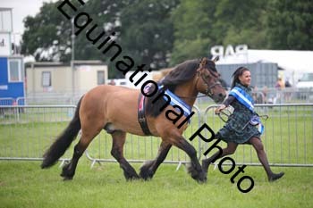 BBX-2019
