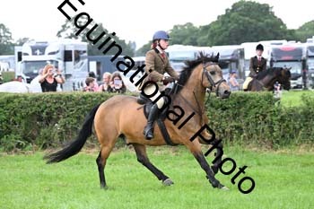 CTS-2074