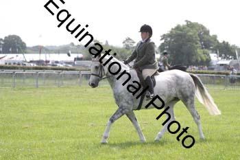 DDQ-1201