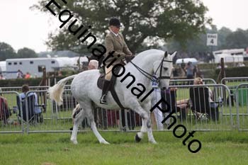 DDQ-1495