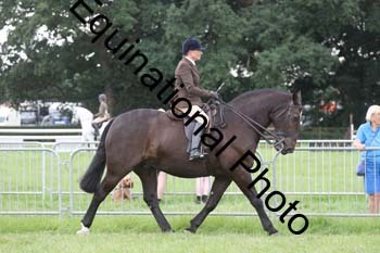 DDQ-1891
