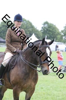 DDQ-1914