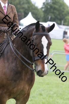 DDQ-1918