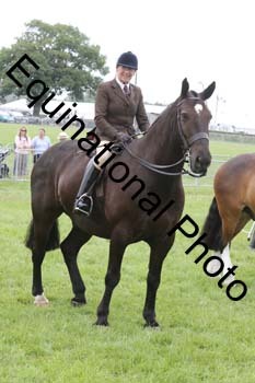 DDQ-1919