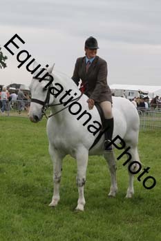 DDQ-1929