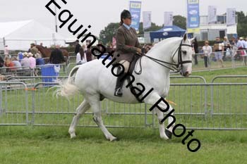 DDQ-1930