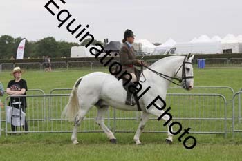 DDQ-1938
