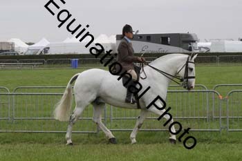 DDQ-1939