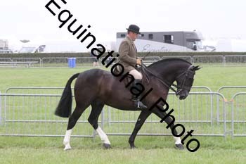 DDQ-1947