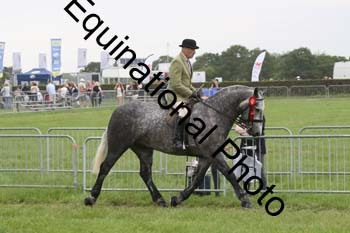 DDQ-1948