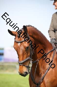 EPM-1189