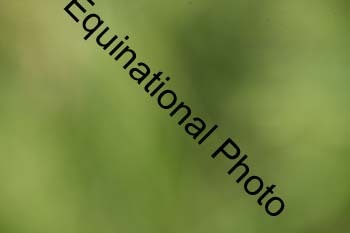 EPM-1215