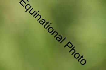 EPM-1216