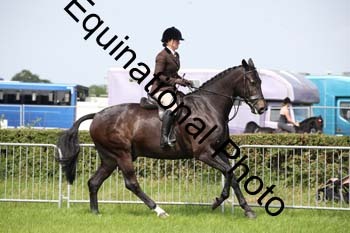 EPM-1337