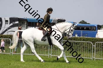 EPM-1343