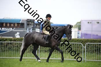 EPM-1530