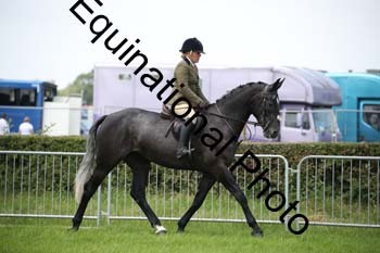 EPM-1531