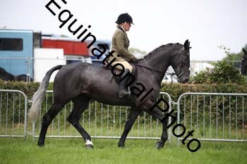 EPM-1534