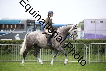 EPM-1536