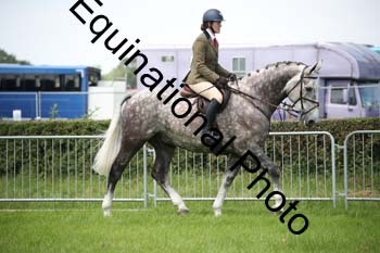 EPM-1537