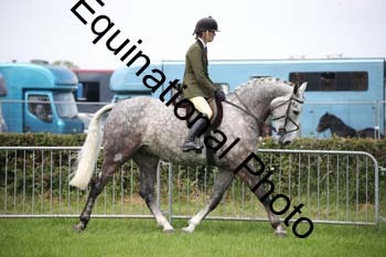 EPM-1541