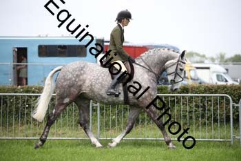 EPM-1542
