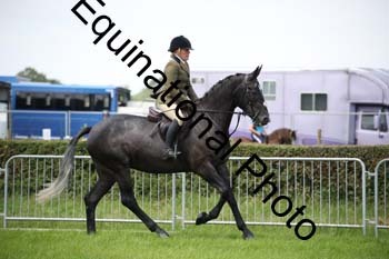 EPM-1558
