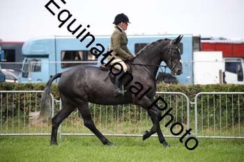EPM-1560