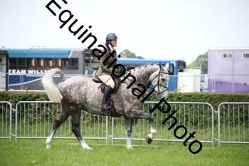 EPM-1561