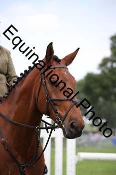 EPM-1608