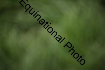 EPM-1647