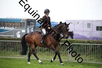 EPM-1654