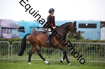 EPM-1662
