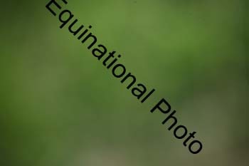 EPM-1680