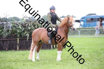 EPM-1849