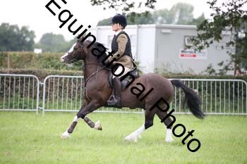 EPM-1916